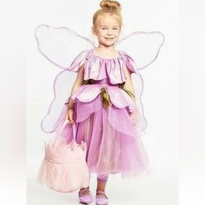 Pottery, barn light up fairy costume.